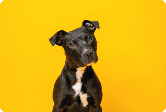 How to Grow Your Own Sprouts 